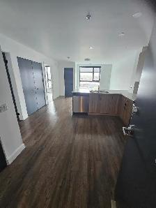 Fully Accessible 1 Bedroom | $1,800 All-Inclusive - Photo 5