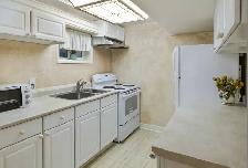 Upgraded 1 Bedroom Walkout Basement Apt at Don Mills & McNicoll - Photo 4