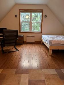 Loft de charme en pleine nature – Saint-Étienne-de-Bolton - Photo 3