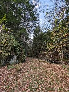 Loft de charme en pleine nature – Saint-Étienne-de-Bolton - Photo 10