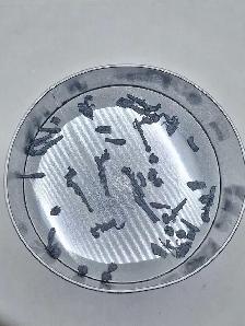 Warhammer 40k Adeptus Mechanicus Leftover Serberys Raiders Bits