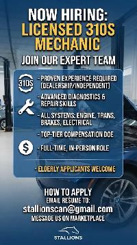 Licensed 310S Automotive Service Technician / Mechanic