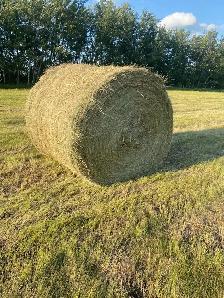 Round Alfalfa and Brome Bales
