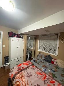 Sharing room available for 3 in a walkout basement
