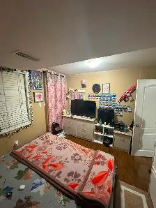 Sharing room available for 3 in a walkout basement - Photo 2