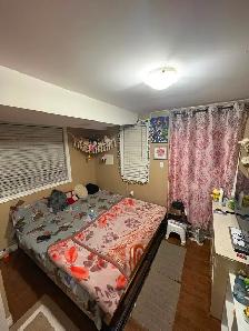 Sharing room available for 3 in a walkout basement - Photo 3