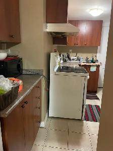 Sharing room available for 3 in a walkout basement - Photo 4