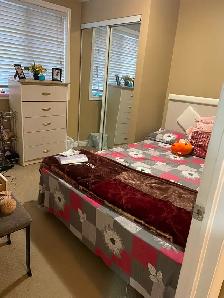 Sharing room available for 3 in a walkout basement - Photo 5