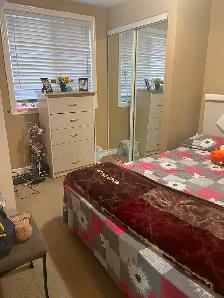 Sharing room available for 3 in a walkout basement - Photo 6