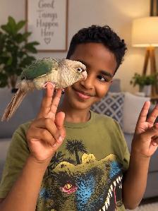 kind parrot - Photo 4