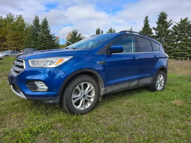 2017 ford escape Saftied