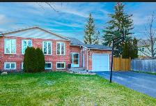 1 Bedroom Basement Apart. for Rent in Grapeview( St.Catharines)