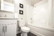 Lease Assignment – 1Bed 1Bath  Available Early November - Photo 10