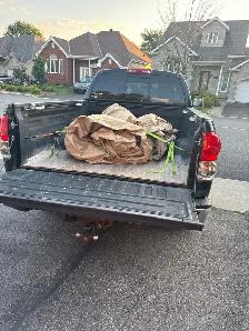 Haul away today- stress free trash removal - Photo 4