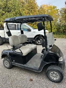 2021 Golf Cart - Photo 4