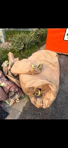 stress-free junk removal, trash removal - Photo 8