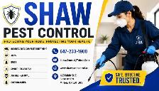 Pest Control Solution in Brampton, Milton ,GTA,50% o - Photo 2