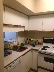 Furnished Room For Rent - Toronto Downtown - Photo 6