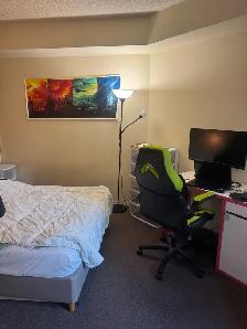 Furnished Room For Rent - Toronto Downtown - Photo 9