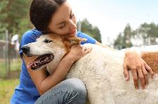 nourriture chiens, chats et autres - Photo 2