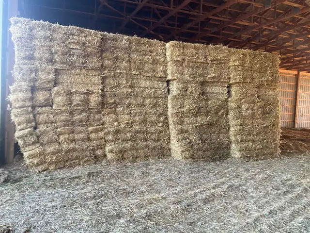 Square straw bales