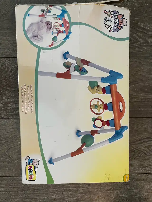 Baby's First Playgym