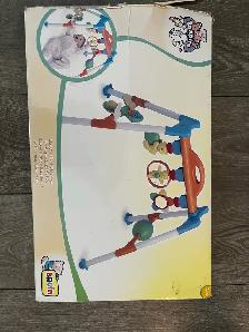 Baby's First Playgym