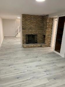 Lovely 1 bedroom basement apartment - Photo 3