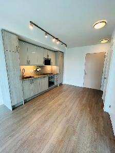 Modern Max condo in the heart of downtown, open concept 1bedroom - Photo 3