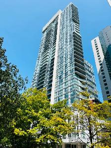 Modern Max condo in the heart of downtown, open concept 1bedroom - Photo 9