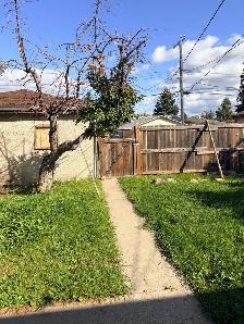 house with legal basement across from green space - Photo 3