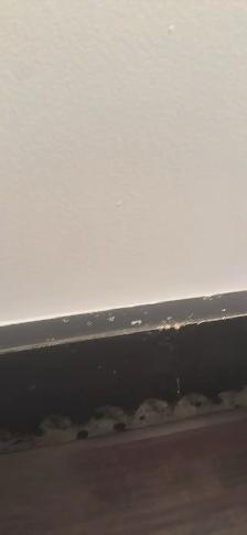 Large Mirror - Photo 4