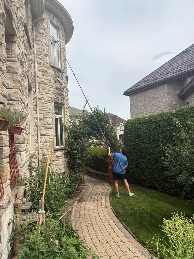Commercial Window Cleaning & Storefront Care!