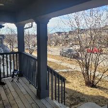 Room for Rent,shared,Warm private,Mature,Pets?$750 - Photo 10