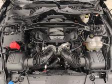 2024 Ford Mustang GT Premium GT Premium Fastback - Photo 9