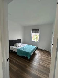 Chambres à louer - Photo 3