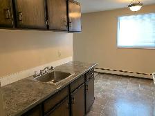 1 Month Free! Spacious 1 Bed Apartment in Riverside Meadows! - Photo 3