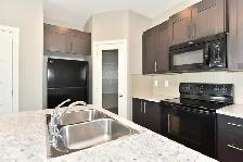 ⭐ONE MONTH FREE⭐ 2 Bed Lower Suite with Walk-Out Patio in Sylvan - Photo 3