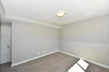 ⭐ONE MONTH FREE⭐ 2 Bed Lower Suite with Walk-Out Patio in Sylvan - Photo 9