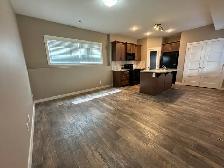⭐ONE MONTH FREE⭐Pet Friendly 2 Bed Lower Suite in Sylvan Lake - Photo 4