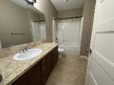 ⭐ONE MONTH FREE⭐Pet Friendly 2 Bed Lower Suite in Sylvan Lake - Photo 8