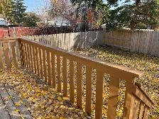 Charming 4-Bedroom Duplex in Red Deer - Photo 14