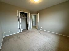 Spacious 2 Bed Apt with Covered Parking - Small Pet Friendly! - Photo 8