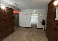 1 bedroom apartment, Mont-Bleu Sector - ID 4733 - Photo 4