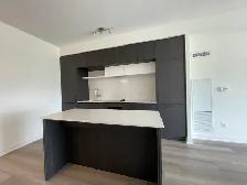 RICHMOND HILL-Brand New 2 Bed/2Bath Condo For Rent w/PRKG - Photo 3