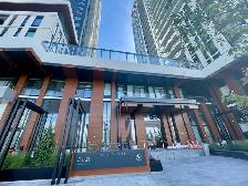 VINCENT CONDOS: Brand New 2 Bed/2Bath Corner Condo For Rent - Photo 17