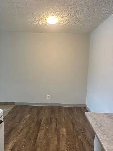 1 Bed 1 Bath Unit in Edmonton, AB - Photo 3