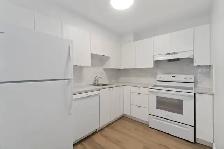 TWO BEDROOM APARTMENT AVAILABLE IN THE HEART OF DARTMOUTH - Photo 9