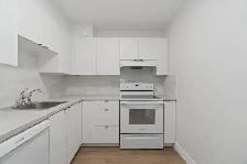 TWO BEDROOM APARTMENT AVAILABLE IN THE HEART OF DARTMOUTH - Photo 10