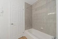 TWO BEDROOM APARTMENT AVAILABLE IN THE HEART OF DARTMOUTH - Photo 15